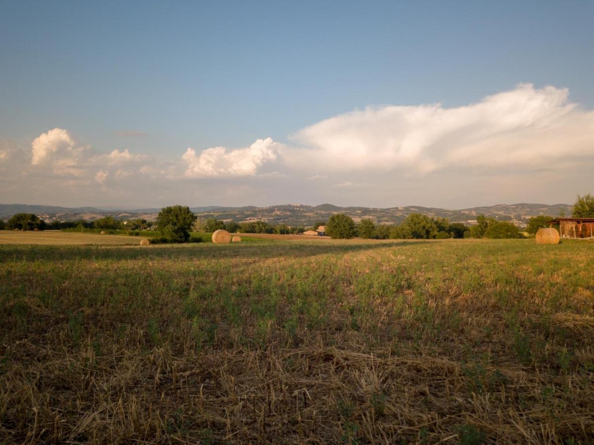 Agriturismo Consalvi Valentina มาร์สชาโน ภายนอก รูปภาพ
