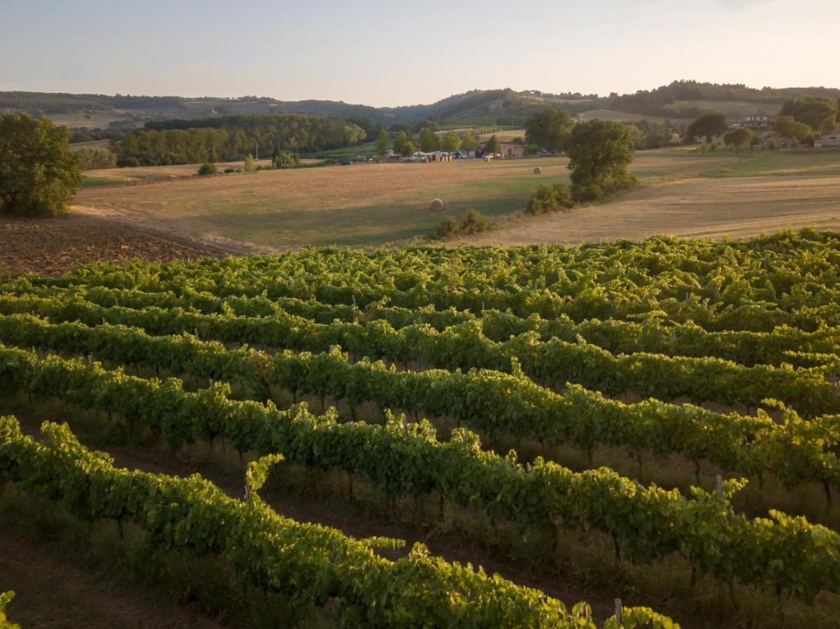 Agriturismo Consalvi Valentina มาร์สชาโน ภายนอก รูปภาพ