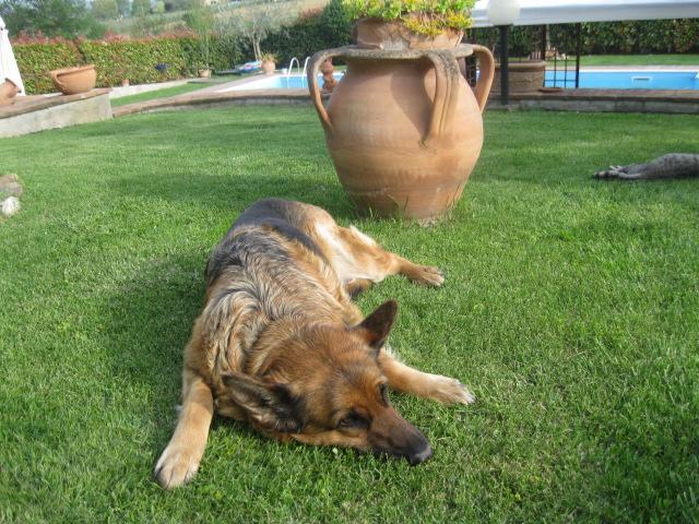Agriturismo Consalvi Valentina มาร์สชาโน ภายนอก รูปภาพ